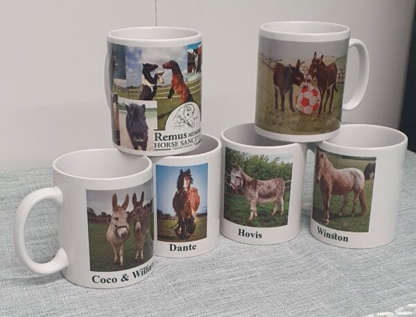 Remus mugs