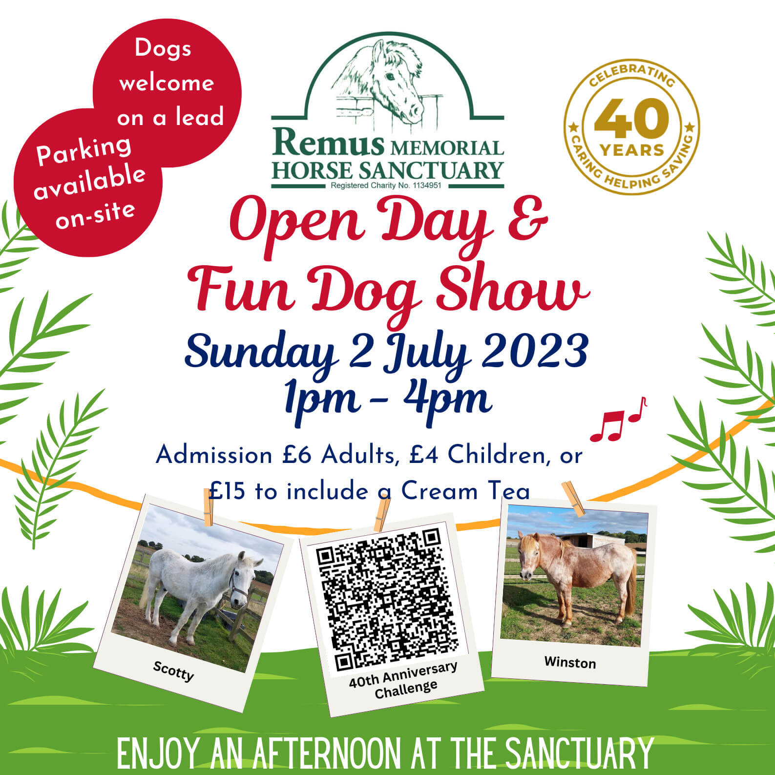 Fun Dog Show And Family Day Out In Essex - Remus