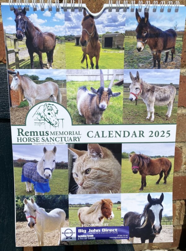 Remus 2025 Calendar