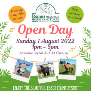 Help us end horse cruelty - Remus Horse Sanctuary - Ingatestone, Essex