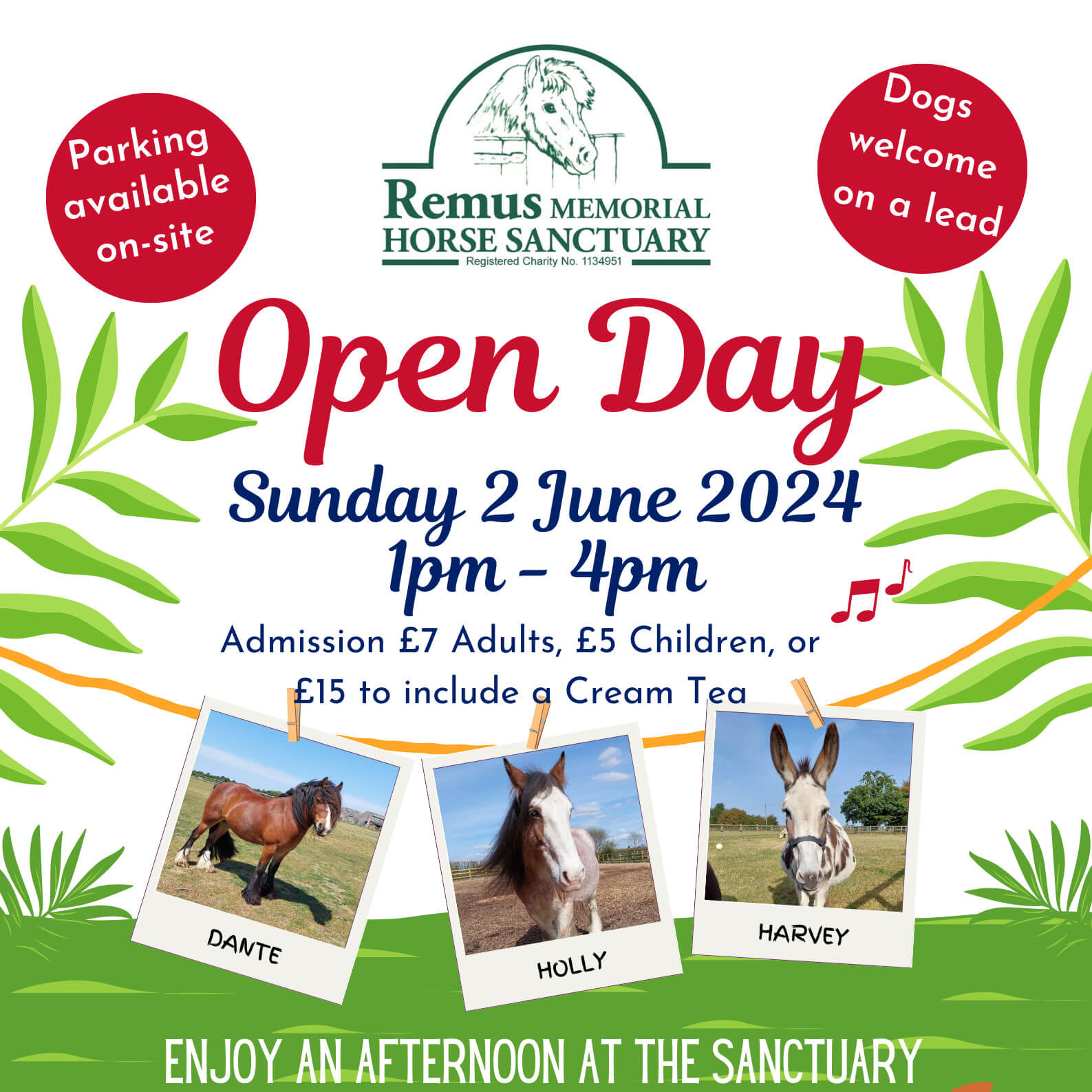 Essex Horse Sanctuary Invites Visitors for Open Day in June - Remus ...