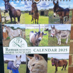 Remus 2025 Calendar