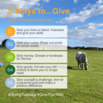 GivingTuesday 5 Ways to...Give