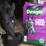 Dengie Cool Condition and Shine